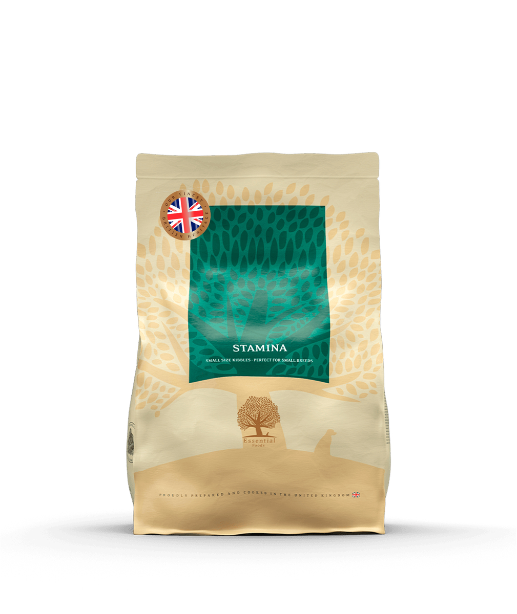 Heritage - Stamina (sport) - Afbeelding 4