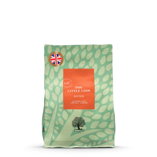 Heritage – The Little Lion (kitten)