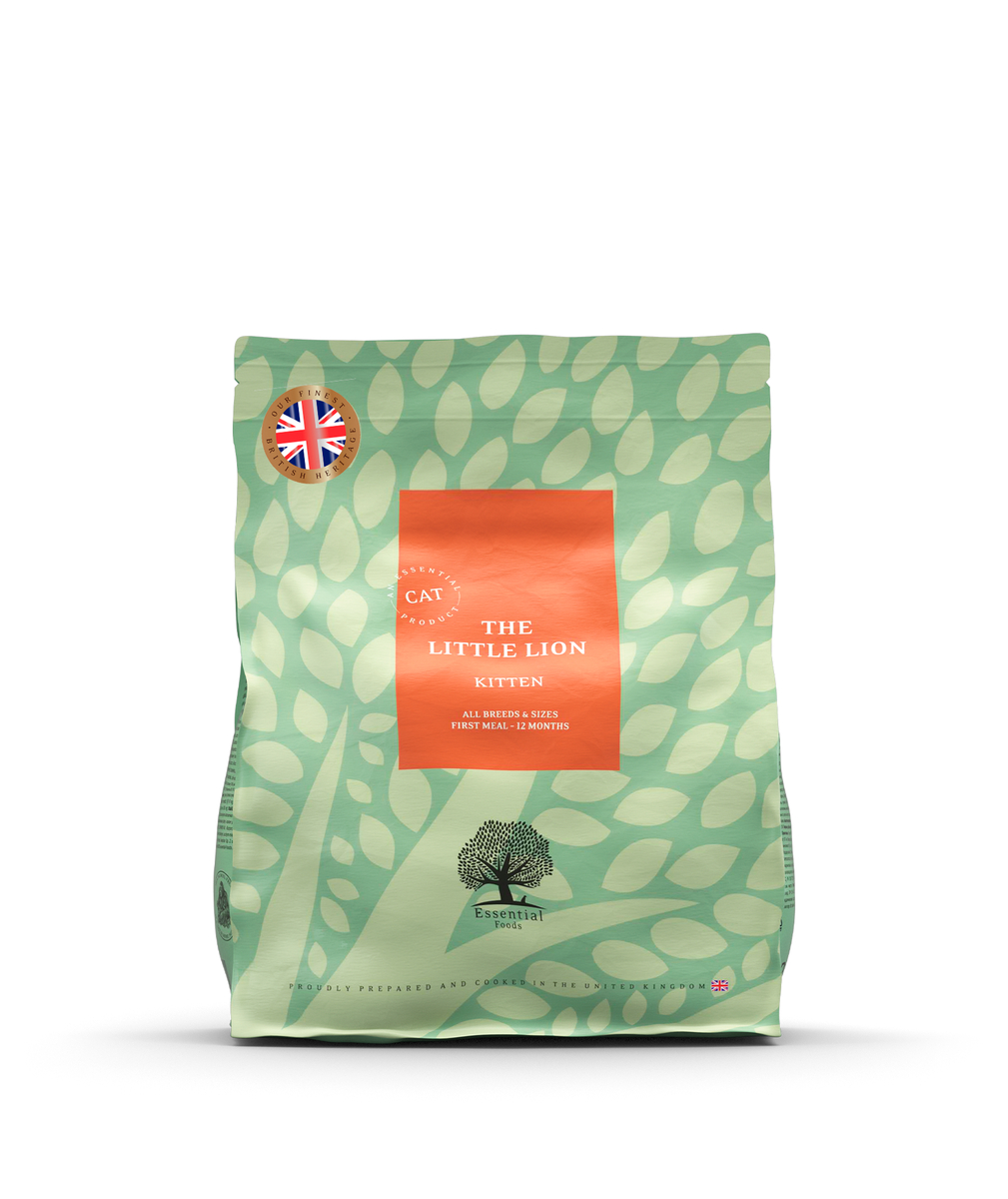 Heritage - The Little Lion (kitten) - Afbeelding 4