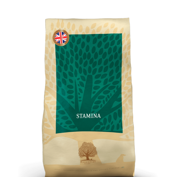 Stamina (sporthonden, ondergewicht)