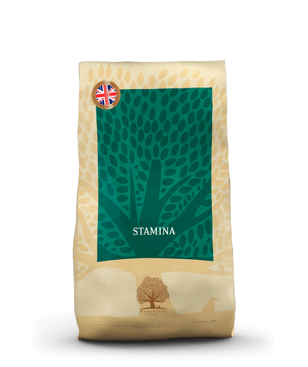 Heritage - Stamina (sport)