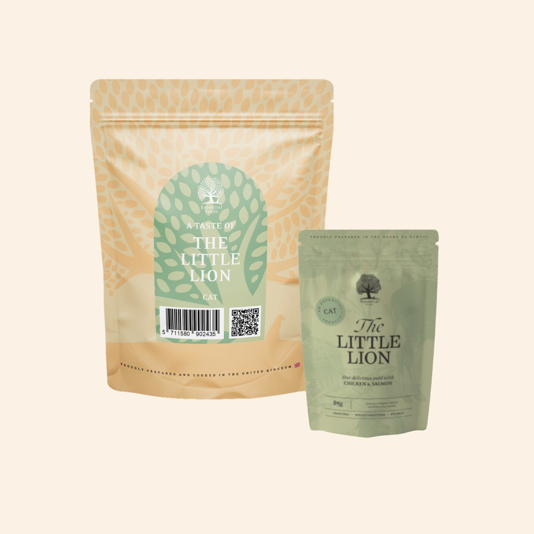 Kitten Pakket 1: Little Lion