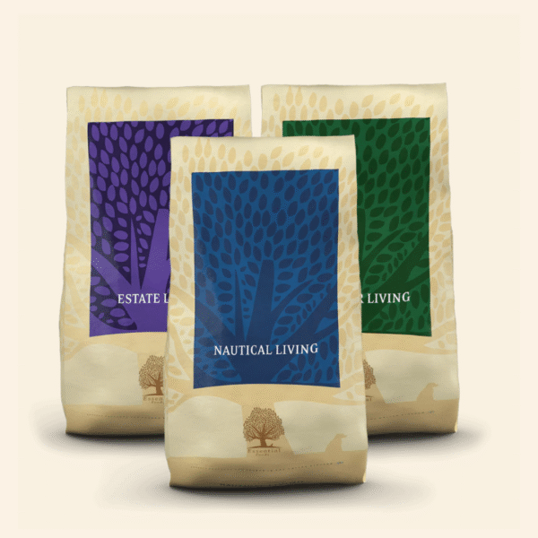 THE CLASSIC TASTE BOX, 10KG x 3