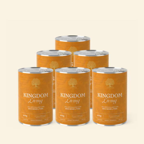 Kingdom Living Pâté (wilde zwijn, varken), 400gr x 6