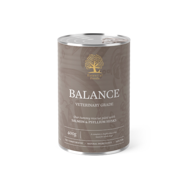 ESSENTIAL BALANCE – Ondersteuning voor een gevoelige spijsvertering