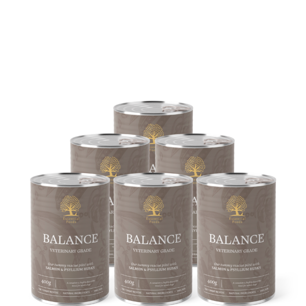 Balance Pâté (ondersteunt gevoelige spijsvertering) 400gr x6