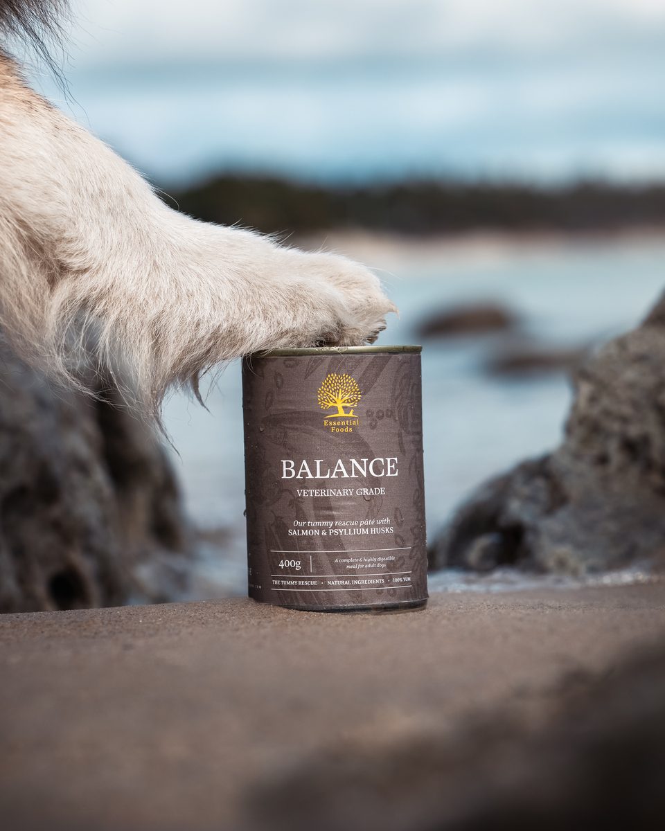 Hond zet een poot op een blik Balance Pâté van Essential Foods, aan het water