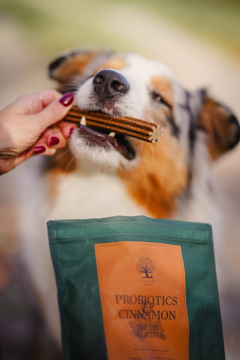 Hond krijgt een stervormige Teeth Delight uit de hand, met een zak Probiotica & Kaneel Teeth Delights op de voorgrond